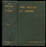 The Welsh at Home: Notable persons, places, and incidents in South Wales. Being chiefly a retrospect of those noble and stalwart figures and exciting achievements, among which we have lived during the past twenty years.