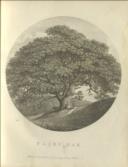 The History of the Parishes of Whiteford and Holywell.