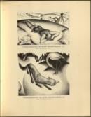 Private Presses with Special Reference to Wales...