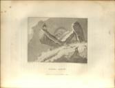 Cambria Depicta: A Tour through North Wales, illustrated with Picturesque Views.