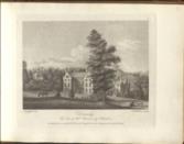 A Collection of Views of Gentlemen