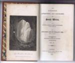 The Scenery, Antiquities and Biography of South Wales,