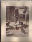 India. Malta. Ceylon. Turkey. c 1901