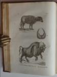 History of Quadrupeds. BOUND With Genera of British Birds.                (3 Vols bound as 2, complete)