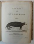 History of Quadrupeds.