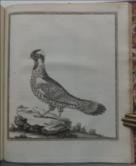 The View of Hindoostan.