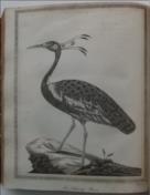 The View of Hindoostan.