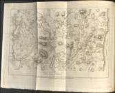 Memoirs of the Different Rebellions in Ireland, from the arrival of the English: