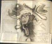 Memoirs of the Different Rebellions in Ireland, from the arrival of the English: