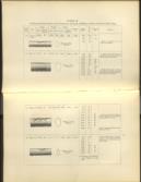 The Britannia and Conway Tubular Bridges.