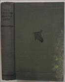 The Yellow-Maned Lion The Story of Ngonyama