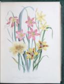 The Journal of a Tour to the Hebrides, with Samuel Johnson,