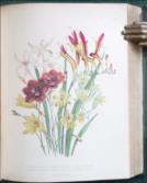 The Journal of a Tour to the Hebrides, with Samuel Johnson,