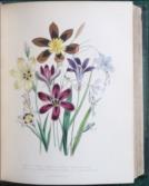 The Journal of a Tour to the Hebrides, with Samuel Johnson,