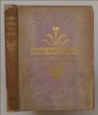 Holidays among the Mountains or Scenes and Stories of Wales