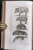 The System of Natural History, (2 vols). WITH The Natural History of Insects,