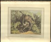 Foreign Field Sports, Fisheries, Sporting Anecdotes, WITH The Supplement of New South Wales