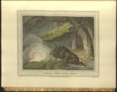 Foreign Field Sports, Fisheries, Sporting Anecdotes, WITH The Supplement of New South Wales