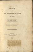 Lorin: or, The Wanderer in Wales. A Tale.