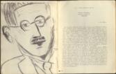 James Joyce Sa Vie Son Oeuvre Son Rayonnement