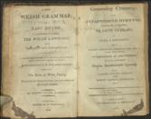 A New Welsh Grammar; Gramadeg Cymraeg;