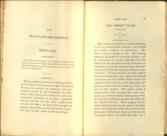 The Mountain Decameron