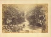 Photographs [Photograph Album of North Wales]