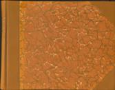 The Beauties of Cambria; Consisting of sixty Views, in North and South Wales; each accompanied by a page of Letter-Press