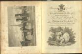 A Picturesque Guide to the Local Beauties of Wales; Interspersed with the most Interesting Subjects of Antiquity in that  Principality