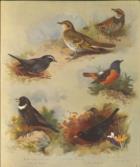 A Tour Through Parts of Wales, Sonnets, Odes, and other Poems.