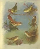 A Tour Through Parts of Wales, Sonnets, Odes, and other Poems.