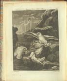 Arctic Zoology ( Supplement)