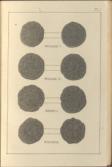 Handbook of English Coins, Giving a Concise Description of the Various Denominations of Coin. From the Norman Conquest, to the Present Reign.