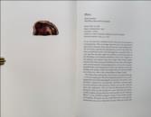 Sylvae fifty specimens printed directly from the wood with historical anecdotes & observations