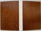 Sylvae fifty specimens printed directly from the wood with historical anecdotes & observations