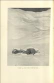 Camp Six An Account of the 1933 Mount Everest Expedition