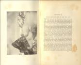 The Alps in Nature and History