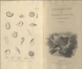 Petralogy a Treatise on Rocks