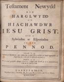 Y Bibl Sanctaidd: Sef, Yr Hen Destament a