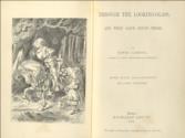 Through the Looking-Glass, and What Alice Found There